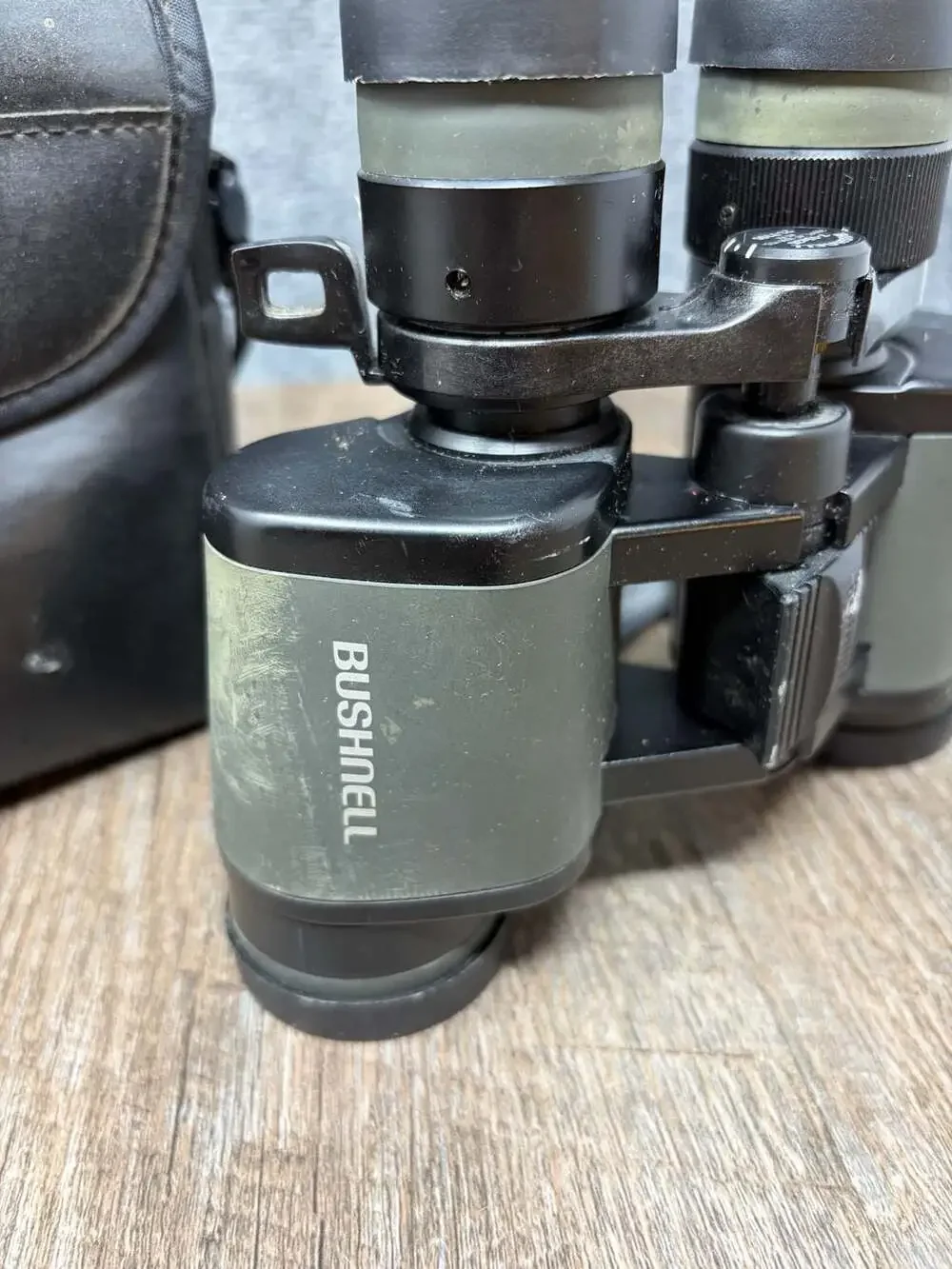 Bushnell hillary legend